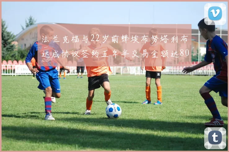 法兰克福与22岁前锋埃布努塔利布达成协议签约五年半交易金额达800万欧元