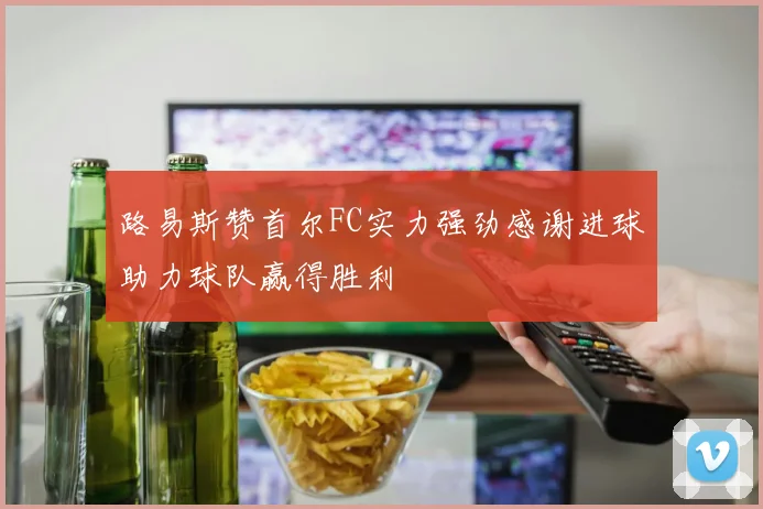 路易斯赞首尔FC实力强劲感谢进球助力球队赢得胜利