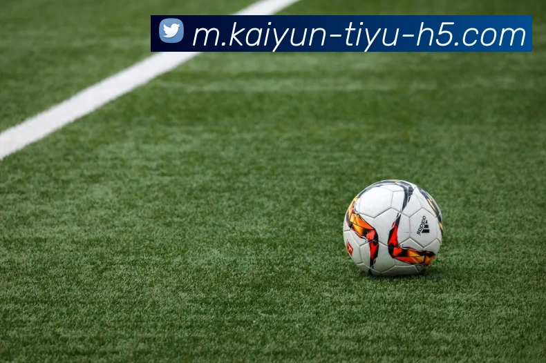 开云体育发展历程